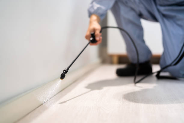 Licensed Fumigation Services service in Kensington, MD - Nex Pest Control