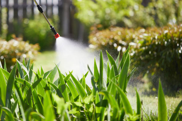 24/7 Emergency Fumigation Services experts in Kensington, MD