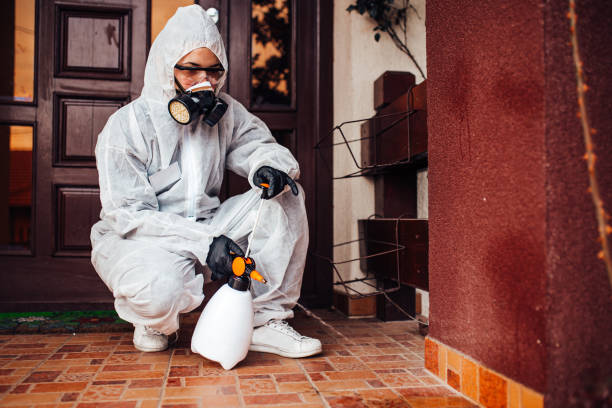 Reliable Fumigation Services contractor in Kensington, MD by Nex Pest Control