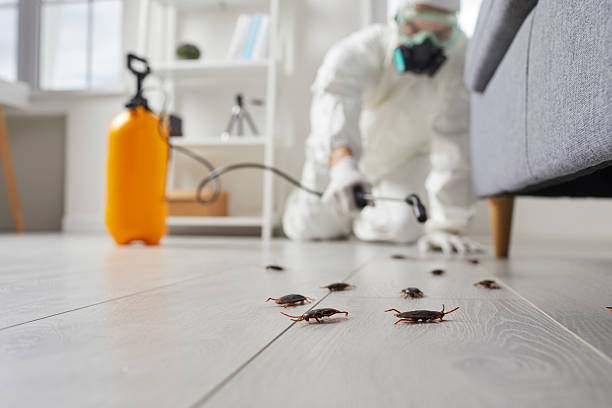 Trusted Fumigation Services service in Kensington, MD - Nex Pest Control