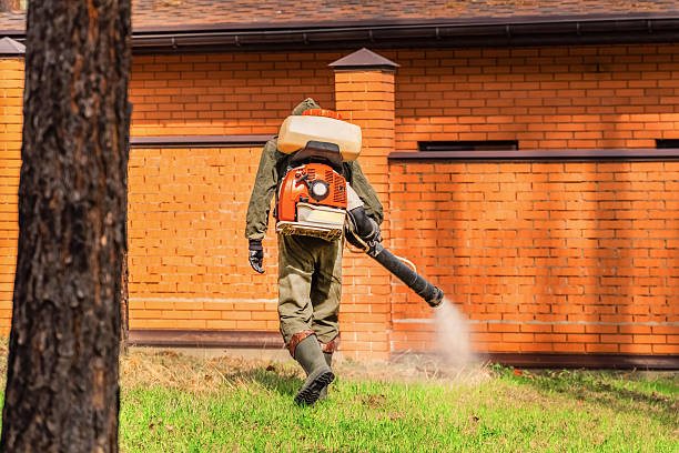 Trusted Bed Bug Control service in Kensington, MD - Nex Pest Control